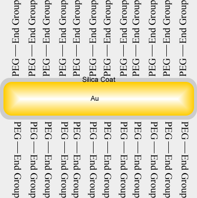 Functionalized Nanorod Block Invitro